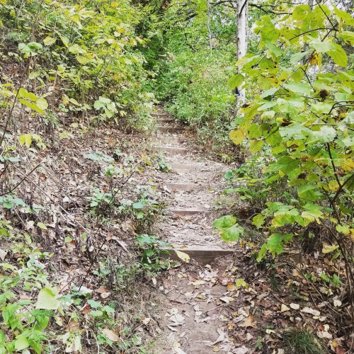 IMG_20180907_114031_078